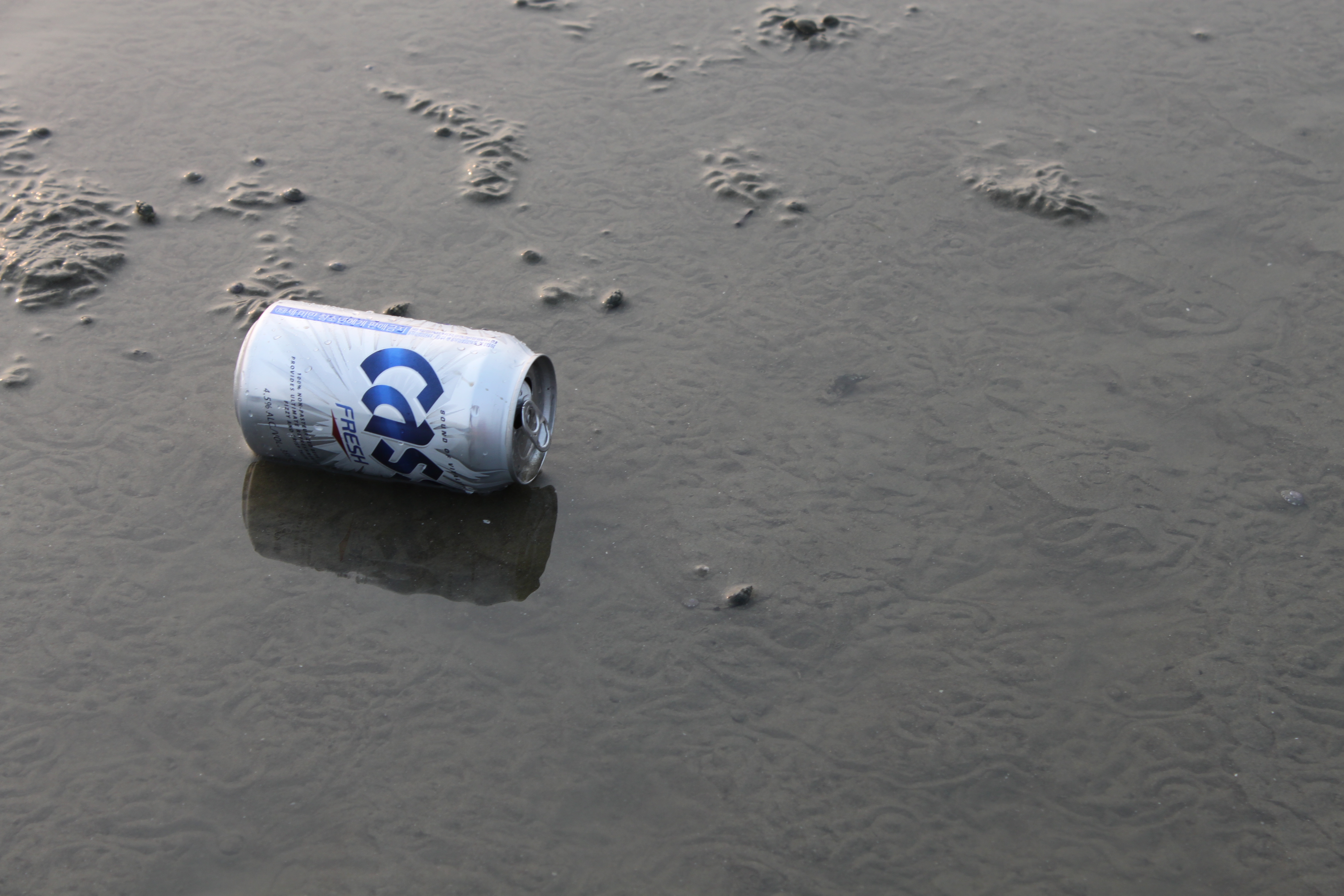 Where a Cass belongs. On the ground.