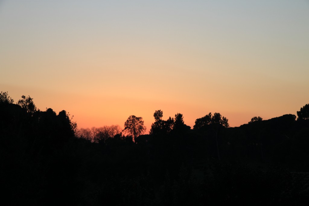 sunset