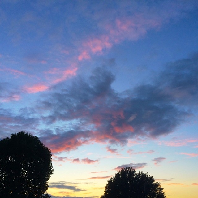 cotton candy clouds after a storm